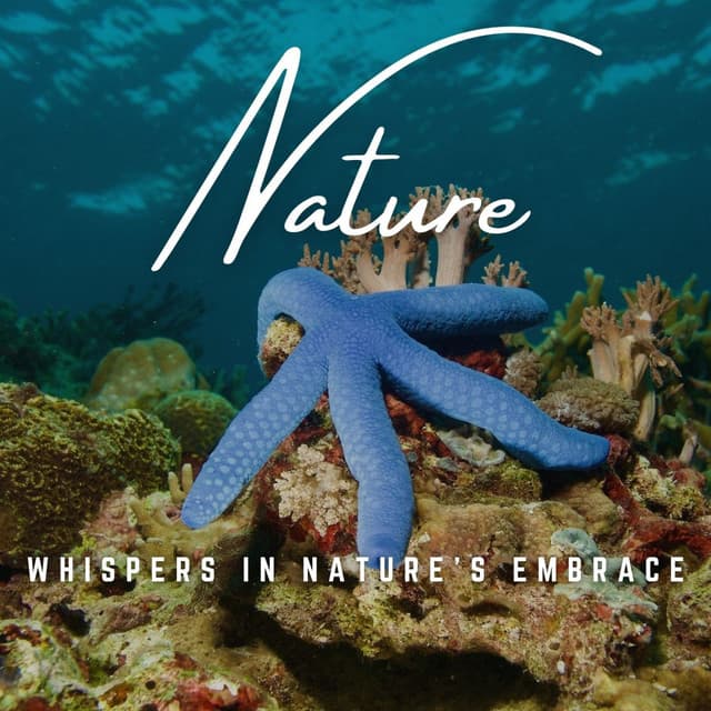 Baby's Sanctuary: Melodic Nature Hush - Babies Love Brahms