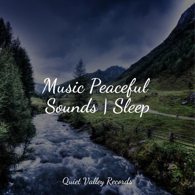 Music Peaceful Sounds | Sleep - Thunder Storm