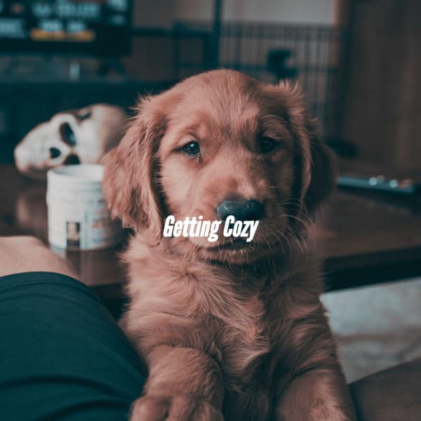 Getting Cozy - Jazz per Studiare