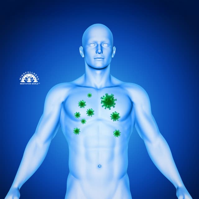 Parasite Full Body Detox, Healing Frequency - Mindfullness Meditation World