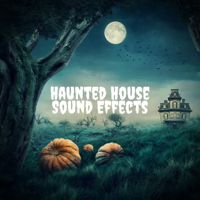 Haunted House Sound Effects - Creepy Sound Effects