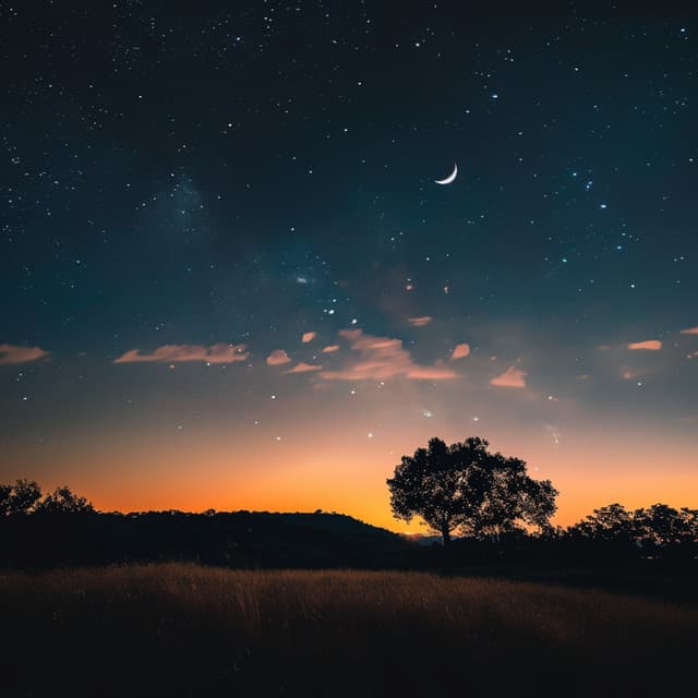 Serenidad Nocturna: Música Relajante Para Dormir - Experiencia de sueño definitiva