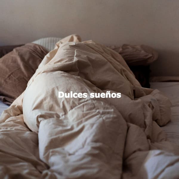 Dulces sueños - Piano Jazz Bar