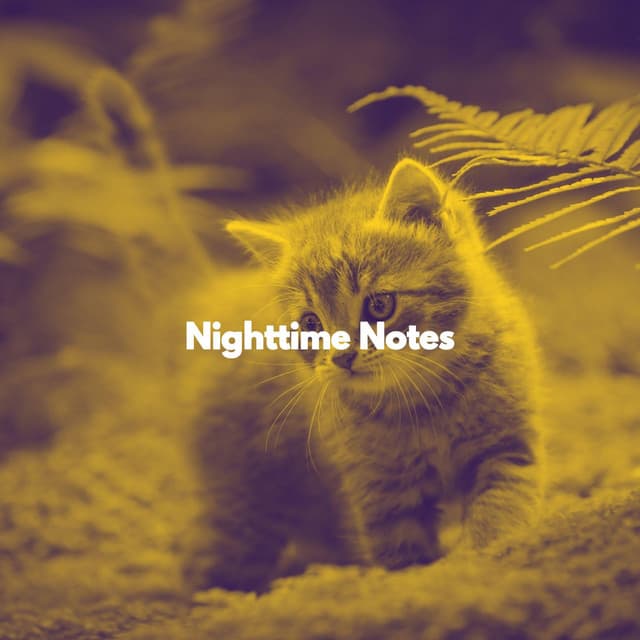 Nighttime Notes - For Cats Only