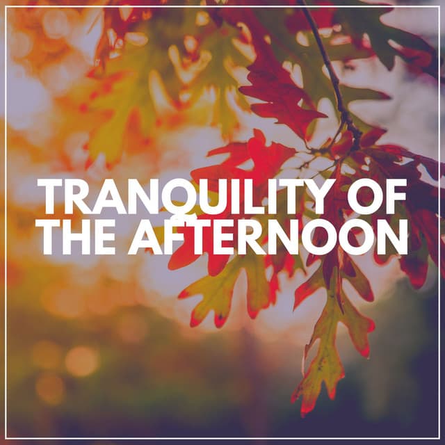 Tranquility of the Afternoon - Relaxation