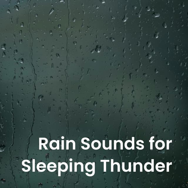 Rain Sounds for Sleeping Thunder - Natural Woodland Sounds