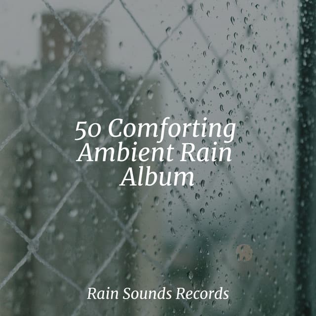 50 Comforting Ambient Rain Album - Meeresrauschen