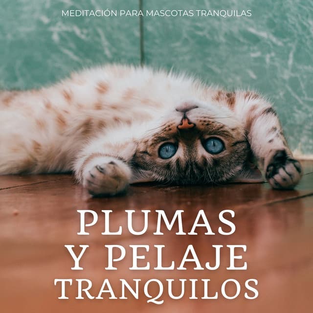 Plumas Y Pelaje Tranquilos: Meditación Para Mascotas Tranquilas - Paisaje sonoro granular