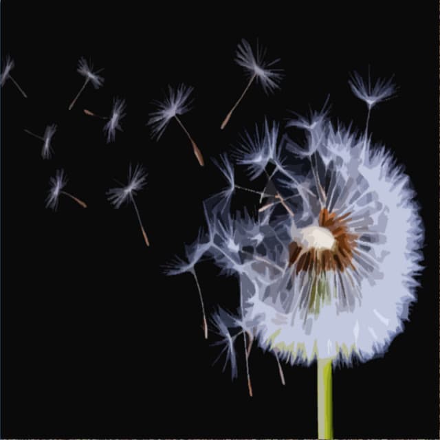 The Wind and the Rain - Deep Meditation Sleep