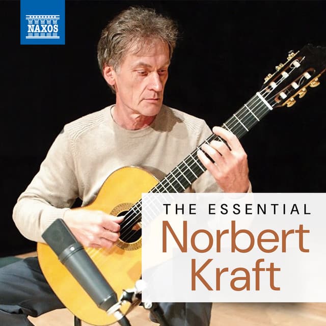 The Essential Norbert Kraft - Norbert Kraft