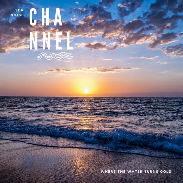 Where the Water Turns Gold - Sea Noise Channel
