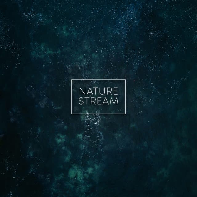 Nature Stream - Jungle Sounds