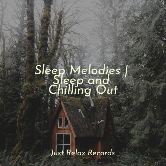 Sleep Melodies | Sleep and Chilling Out - Musica para Meditar