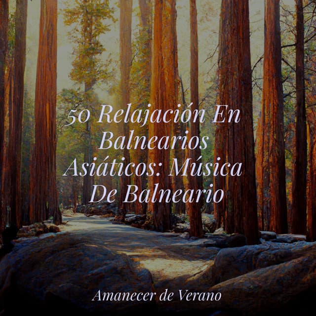 50 Relajación En Balnearios Asiáticos: Música De Balneario - Música ambiental relajante