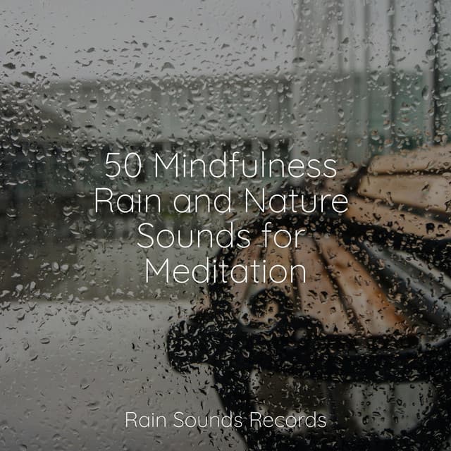 50 Mindfulness Rain and Nature Sounds for Meditation - Calming Sounds
