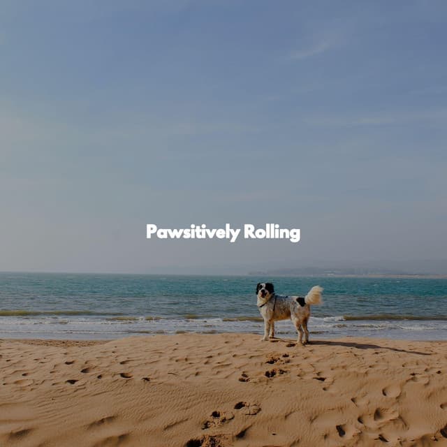 Pawsitively Rolling - Jazz Radio