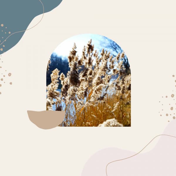 Awesome - Self Care Days - Playlist Música para Dormir