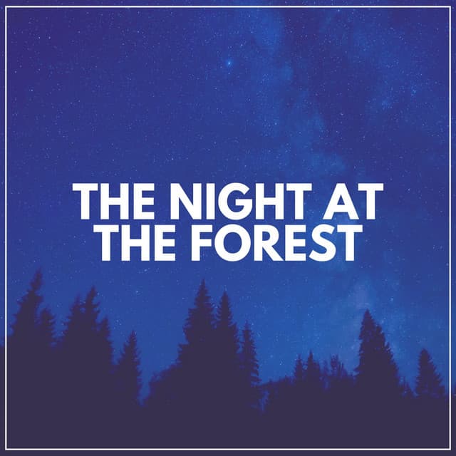 The Night At the Forest - The Forest Escape