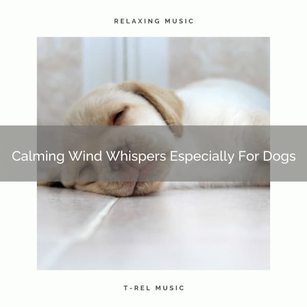 Calming Wind Whispers Especially For Dogs - Dog Total Relax