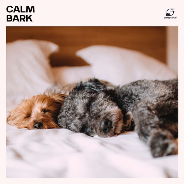 Calm Bark: Dog Anxiety Relief - Music for Dogs Collective