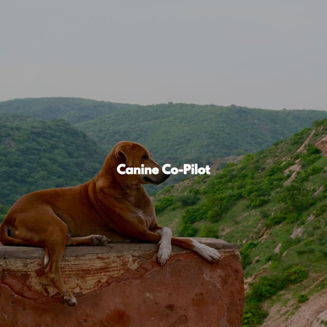 Canine Co-Pilot - Night-Time Jazz