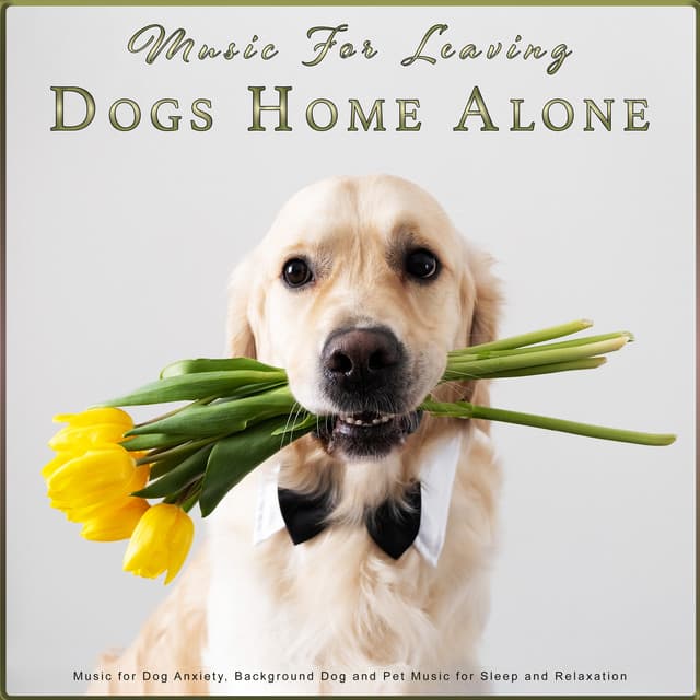 Music For Leaving Dogs Home Alone: Music for Dog Anxiety, Background Dog and Pet Music for Sleep and Relaxation - Music for Leaving Dogs Home Alone