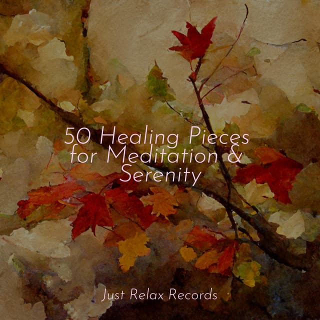 50 Healing Pieces for Meditation & Serenity - Relaxing Mindfulness Meditation Relaxation Maestro