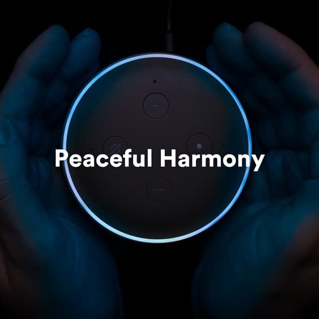 Peaceful Harmony: Ambient Tracks for Meditation and Relaxation - Meditation Music For Relaxation
