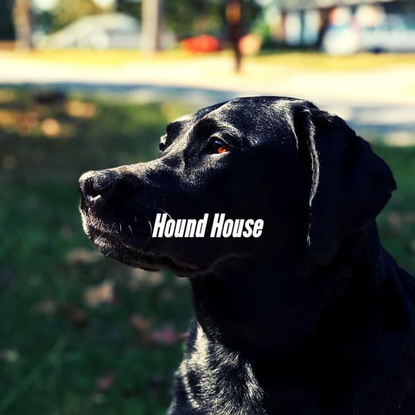 Hound House - Dog Jazz Music
