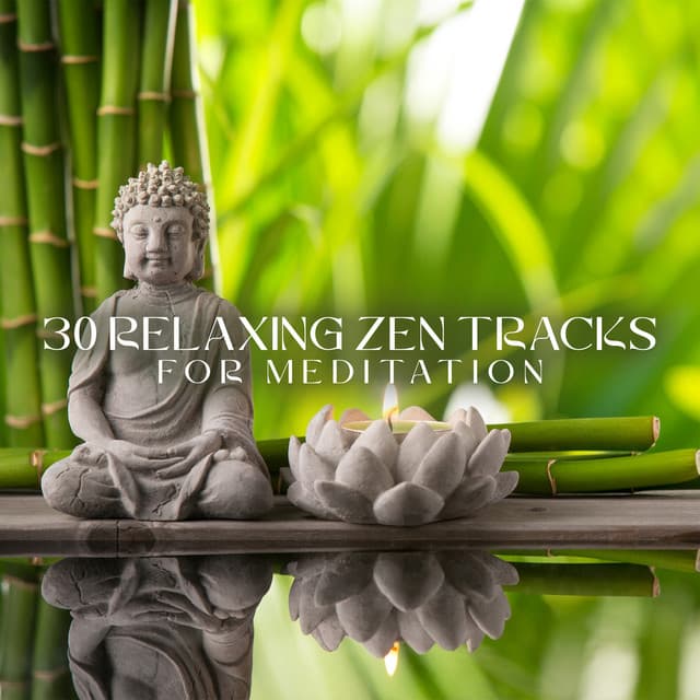30 Relaxing Zen Tracks for Meditation: Calm Nature Sounds, Asian Spa Music, and Ambient Instrumental Music - Asian Spa Experience