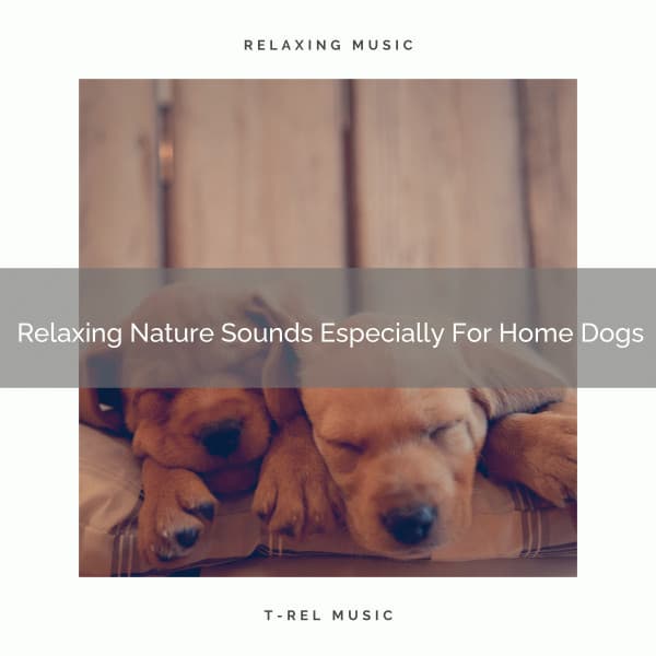 Relaxing Nature Sounds Especially For Home Dogs - Dog Relax