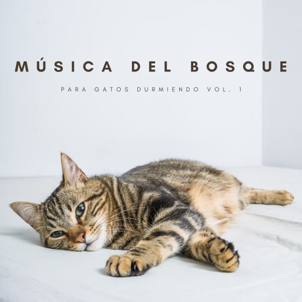 Música Del Bosque Para Gatos Durmiendo Vol. 1 - Sonidos de la Naturaleza Relax