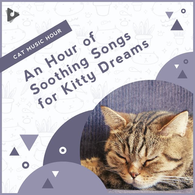 An Hour of Soothing Songs for Kitty Dreams - Cat Music Hour