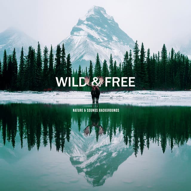 Wild & Free - Nature & Sounds Backgrounds
