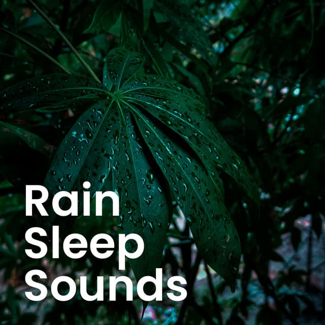 Sounds of Nature: Rainforest Rain & Soothing Forest Ambience - Calming Rainforest Sounds