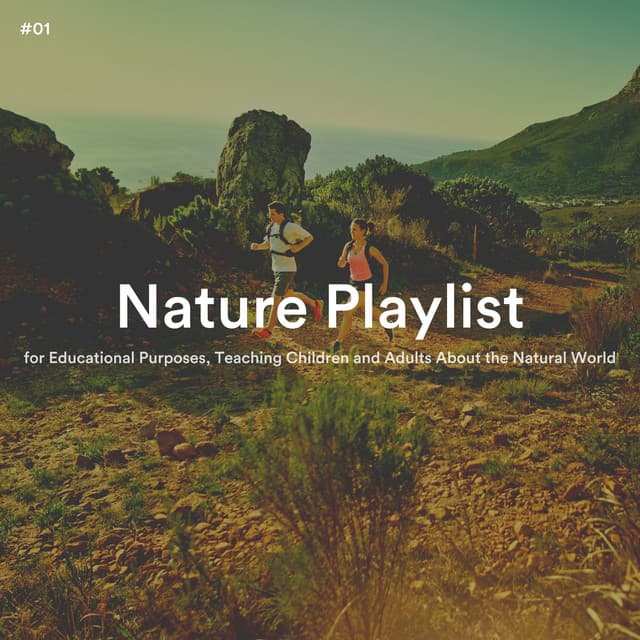 #01 Nature Playlist for Educational Purposes, Teaching Children and Adults About the Natural World - Mother Nature Sound FX