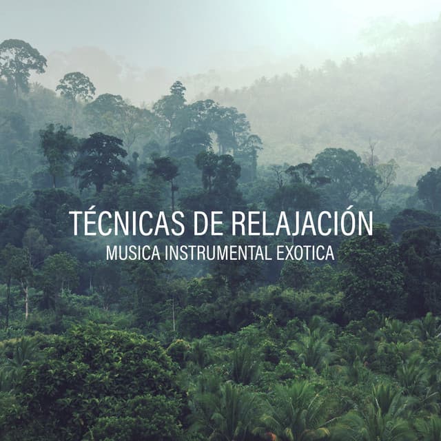 Técnicas de Relajación: Musica Instrumental Exotica, Energia Positiva en el Selva Tropical - Música Zen Relajante Conjunto