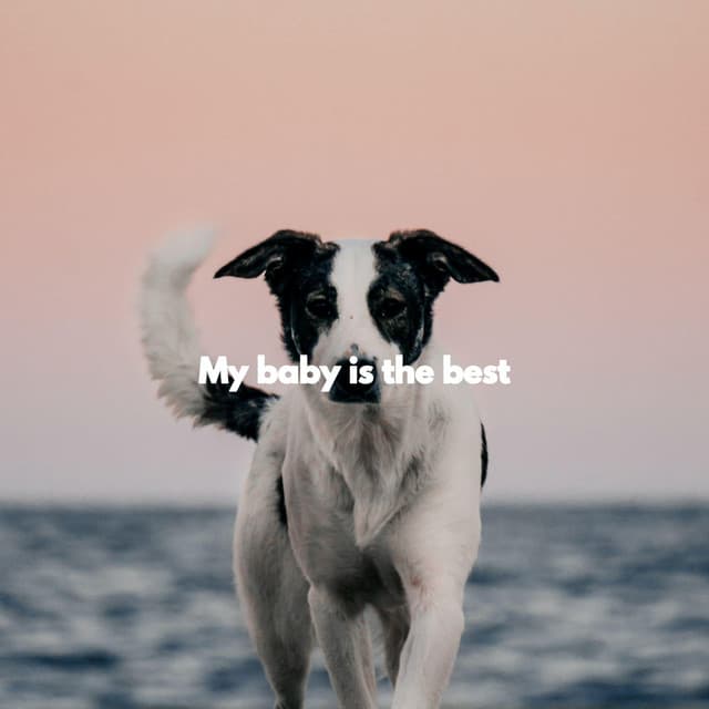My baby is the best - Relax My Dog Music