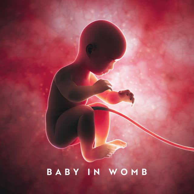 Baby In Womb - Theo Lärm