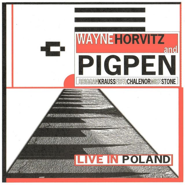 Live in Poland - Wayne Horvitz