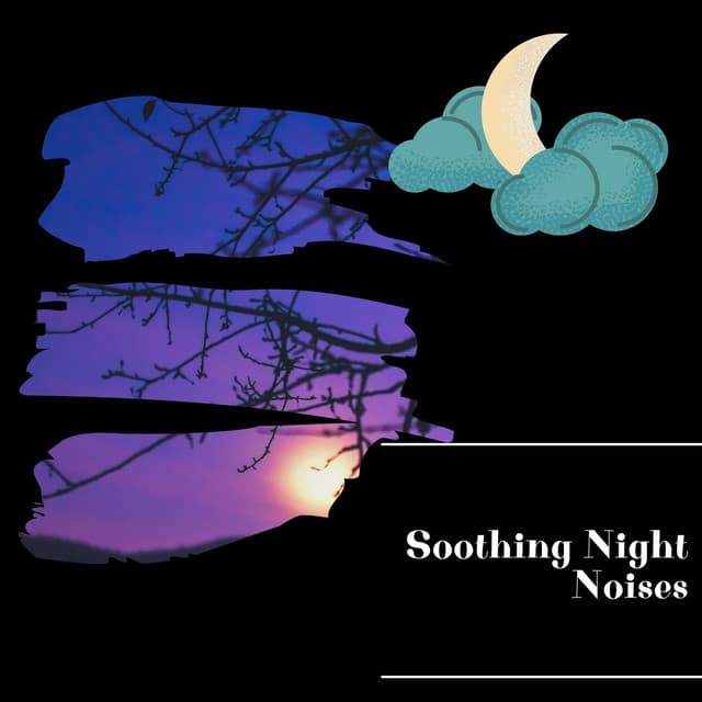 Soothing Night Noises - Night Nature Sounds