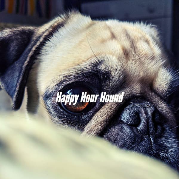 Happy Hour Hound - Classy Relaxing Dog Music