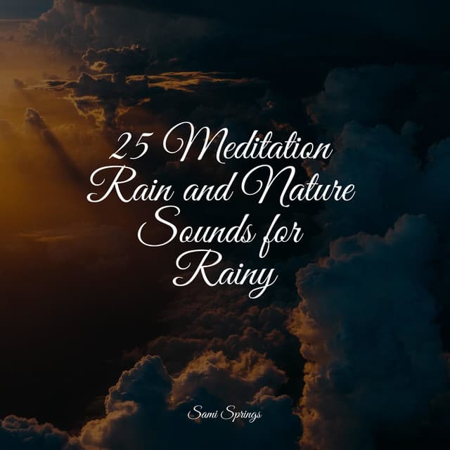 25 Meditation Rain and Nature Sounds for Rainy - The Relaxation Principle