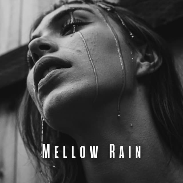 Mellow Rain: Soothing Beach Meditation Journey - Wild Weather