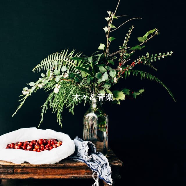 木々＆音楽 - Afternoon Tea Bossa Nova Playlist