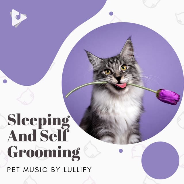 Sleeping And Self Grooming - Pet Music by Lullify