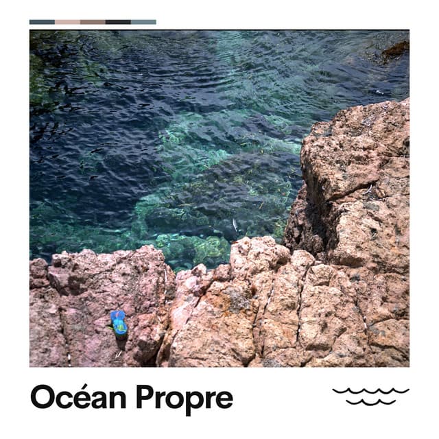 Océan Propre - Vagues De L'Ocean