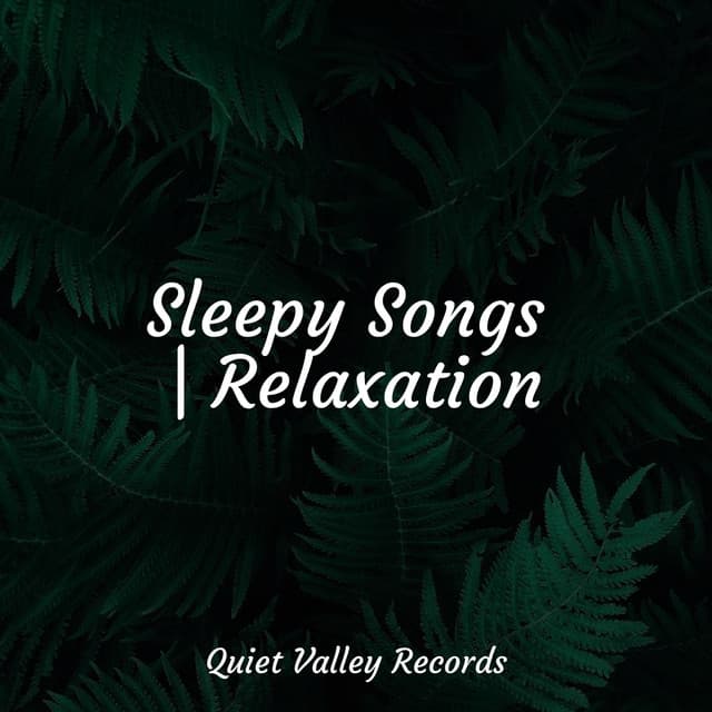 Sleepy Songs | Relaxation - Música de la Naturaleza