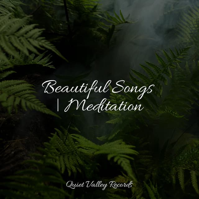 Beautiful Songs | Meditation - White Noise Nature Sounds Baby Sleep