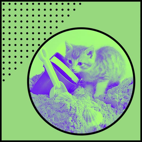 Backdrop for Friendly Cats - Trumpet and Alto Sax - Cat Relax